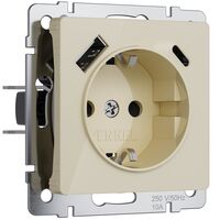 Розетка с заземлением, шторками и USB тип A+C (айвори акрил) / W1171743