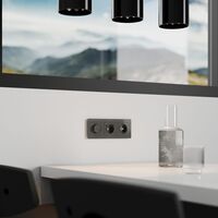 Диммер (графит акрил) / W1142044