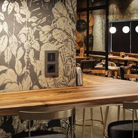 Рамка на 2 поста (бронза матовый, Slab) / W0022963