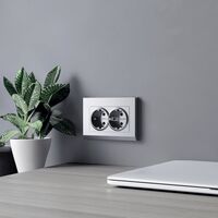 Розетка двойная с заземлением (серебряный матовый) / W1172065