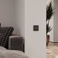 Сенсорный выключатель двухклавишный с подсветкой (черный) / W4522008