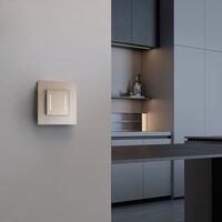 Сенсорный выключатель двухклавишный с подсветкой (шампань) / W4522011