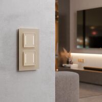 Умный сенсорный выключатель двухклавишный (шампань) / W4523011