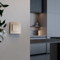 Умный сенсорный выключатель двухклавишный (шампань) / W4523011