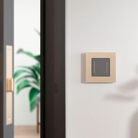 Рамка на 1 пост (шампань, AluMax) / W0013511