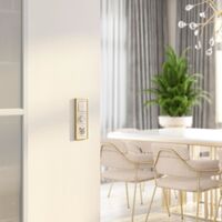 Диммер (айвори акрил) / W1142043