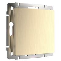 Заглушка (шампань рифленый) / W1159210