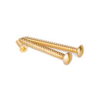 Винты для накладного выключателя 3шт. (золото) Ретро / WL18-21-01