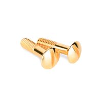 Винты для распределительной коробки / TV розетки 2 шт. (золото) Ретро / WL18-22-01