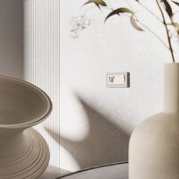 Рамка на 2 поста (айвори/белый, Split) / W0023066