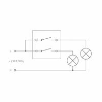 Выключатель двухклавишный (шампань) / W1120011