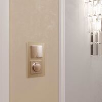 Выключатель двухклавишный (шампань) / W1120011