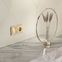 Выключатель двухклавишный (шампань) / W1120011