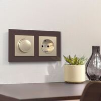 Розетка с заземлением (шампань) / W1171011