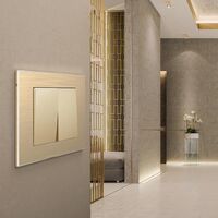 Рамка на 1 пост (шампань, Aluminium) / W0011711