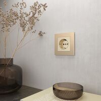 Рамка на 1 пост (шампань, Aluminium) / W0011711