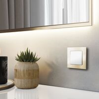 Рамка на 1 пост (шампань, Aluminium) / W0011711