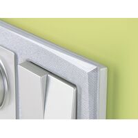 Рамка на 2 поста (серебряный, Shine) / WL10-Frame-02