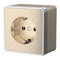 Розетка с заземлением Gallant (шампань рифленый) / W5071010