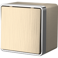 Выключатель одноклавишный влагозащищенный Gallant (шампань рифленый) / WL15-01-02