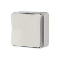 Выключатель одноклавишный проходной Gallant (слоновая кость) / WL15-01-03