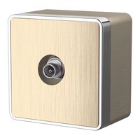 ТВ-розетка оконечная Gallant (шампань рифленый) / WL15-21-01