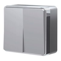 Выключатель двухклавишный Gallant (серебряный) / W5020006