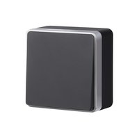 Выключатель одноклавишный проходной Gallant (черный с серебром) / WL15-01-03