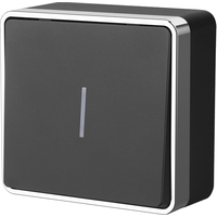 Выключатель одноклавишный с подсветкой Gallant (черный/хром) / WL15-01-04