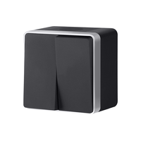 Выключатель двухклавишный влагозащищенный Gallant (черный с серебром) / WL15-03-02