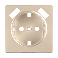 Накладка для розетки USB (шампань) / WL11-USB-CP