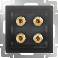 Акустическая розетка (черный матовый) / WL08-AUDIOx4