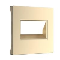 Накладка для двойной розетки Еthernet RJ-45 (шампань) / WL11-RJ45+RJ45-CP