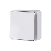 Выключатель одноклавишный проходной Gallant (белый) / WL15-01-03