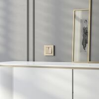 Рамка на 1 пост (шампань, Slab) / W0012911