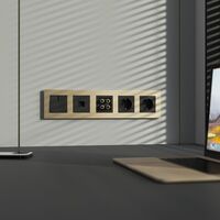 Рамка на 5 постов (шампань, Slab) / W0052962